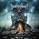 borknagar cover m