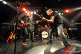 camelfullband m