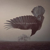 katatonia m