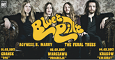 blues pillss m