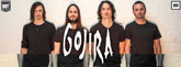 knock out productions oraz klub b90 prezentuj koncert gojira w gdasku m