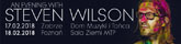 steven wilsong m