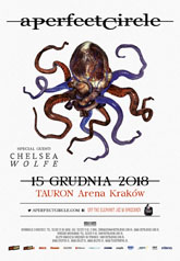 a perfect circle poster with sgz m