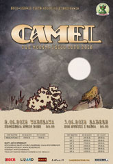 camel plakatzzz m