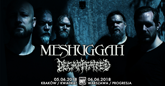 meshuggaha m