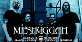 meshuggahx m