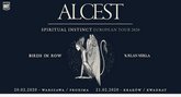 alcestxxy m