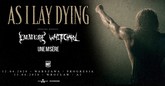 asilaydying powraca do polski m