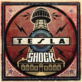 tesla shock m