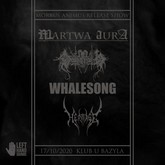 martwa auracba m
