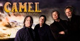 camelmis m