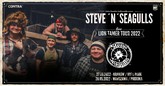 steve n seagulls m