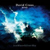 david cross bandplalat m
