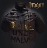 dragonhoc m