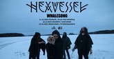 hexvessel i whalesongnvt m