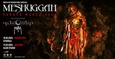 meshuggah 2sw m