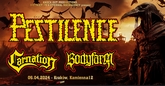 pestilenceplalat m