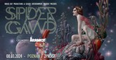 spidergawdwdp m
