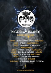 toguslav brandtgtf m