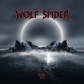 wolf spiderhoc4 m