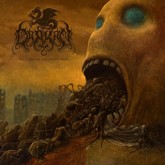 drakonsn m