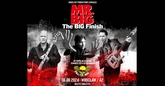 mr bigknl m