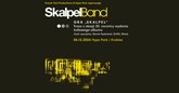 skalpelmm m