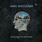 sonic wastelandam m