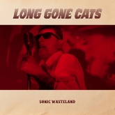 sonic wastelandgda m