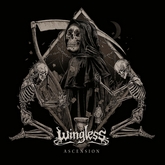 winglessknl m