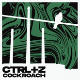 ctrlzrz m
