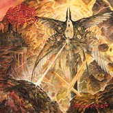 ophidian memorysik m