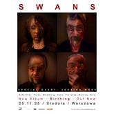 swansnwz m