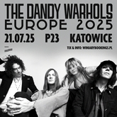 the dandy warholsjzg m