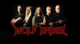 wolf spider m