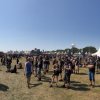 woa_2018_pogladowe_11