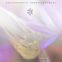 psychotropictranscendental-lunyolinaunyolinathudar-davogh s