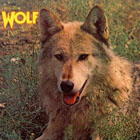 wolf-canislupus
